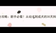 拉布拉多全攻略新手必看从幼犬到成犬的30天科学养护指南