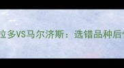 5年养狗人血泪对比拉布拉多VS马尔济斯选错品种后悔10年附养狗避坑指南