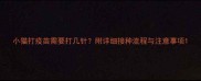 小猫打疫苗需要打几针附详细接种流程与注意事项