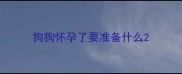 狗狗怀孕了要准备什么