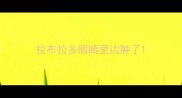 拉布拉多眼睛里边肿了
