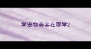 学宠物美容在哪学