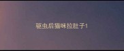 驱虫后猫咪拉肚子