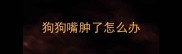 狗狗嘴肿了怎么办