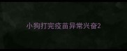 小狗打完疫苗异常兴奋