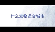 什么宠物适合城市