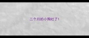 二个月的小狗吐了