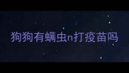 狗狗有螨虫n打疫苗吗