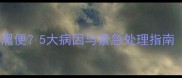 小狗腹泻呕吐拉黑便5大病因与紧急处理指南附预防方案