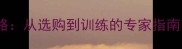 东莞常平拉布拉多养护全攻略从选购到训练的专家指南附本地优质服务商推荐