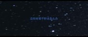 边牧经常不听话怎么办
