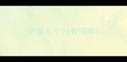 萨摩几个月有围脖