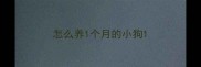 怎么养1个月的小狗