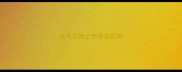 金毛与哈士奇杂交的狗