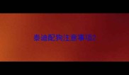 泰迪配狗注意事项