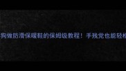 给狗狗做防滑保暖鞋的保姆级教程手残党也能轻松搞定