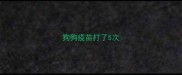 狗狗疫苗打了5次