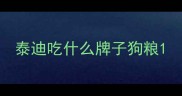 泰迪吃什么牌子狗粮