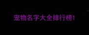 宠物名字大全排行榜
