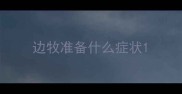 边牧准备什么症状