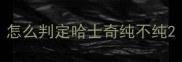怎么判定哈士奇纯不纯