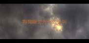 狗狗睡觉为什么会叫