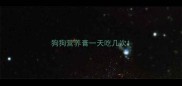 狗狗营养膏一天吃几次