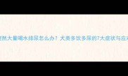狗狗突然大量喝水排尿怎么办犬类多饮多尿的7大症状与应对指南