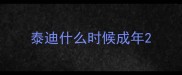 泰迪什么时候成年