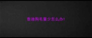 泰迪狗毛量少怎么办