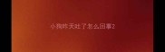 小狗昨天吐了怎么回事