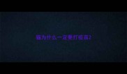 猫为什么一定要打疫苗