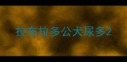 拉布拉多公犬尿多