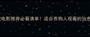 拉布拉多萌宠电影推荐必看清单适合养狗人观看的治愈系电影TOP10