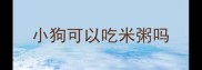 小狗可以吃米粥吗