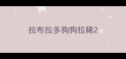 拉布拉多狗狗拉稀