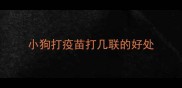 小狗打疫苗打几联的好处
