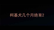 柯基犬几个月绝育