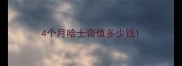 4个月哈士奇值多少钱