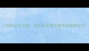 小狗购买全攻略如何用合理预算挑选健康幼犬