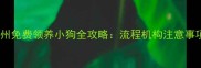 广州免费领养小狗全攻略流程机构注意事项