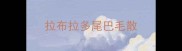 拉布拉多尾巴毛散