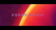 家里有事要卖拉布拉多