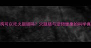 狗狗可以吃火腿肠吗火腿肠与宠物健康的科学真相