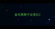 金毛黑鼻子会变红