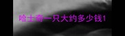 哈士奇一只大约多少钱