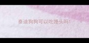 泰迪狗狗可以吃馒头吗