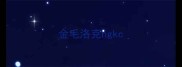 金毛洛克ngkc