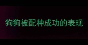 狗狗被配种成功的表现