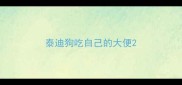 泰迪狗吃自己的大便